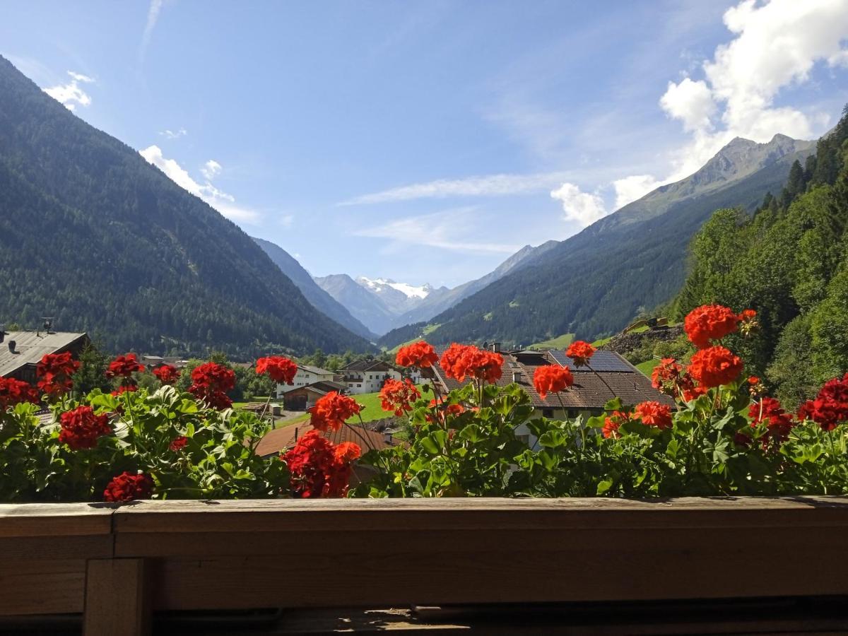 Apartment Fernerblick Neustift im Stubaital Eksteriør bilde